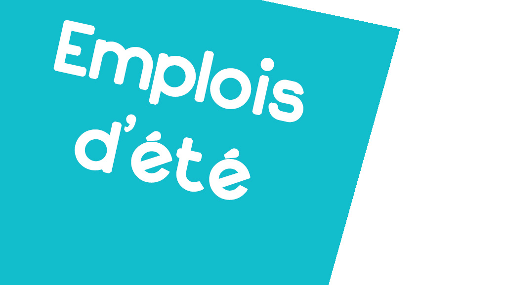 emploi ete 2017